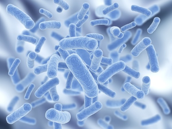Disbiosi intestinale